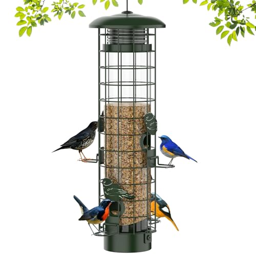 Best Squirrel Proof Bird Feeders